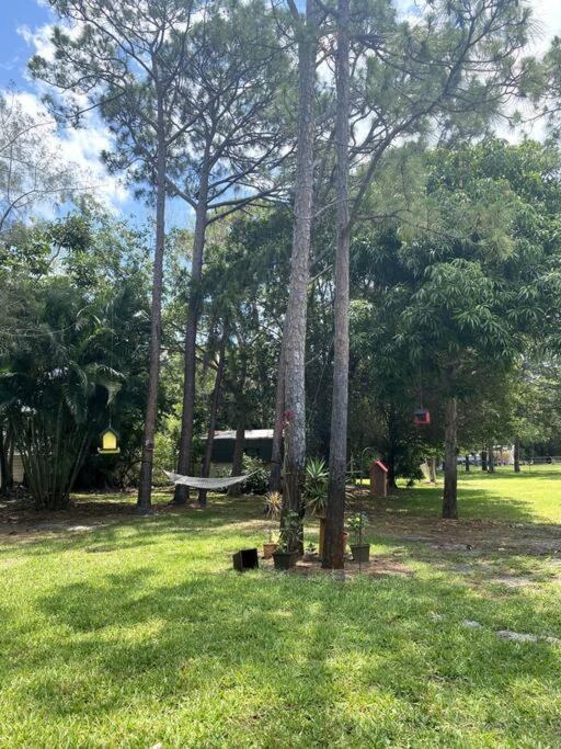 Jungle Oasis In The Heart Of The Treasure Coast Villa Walton Exterior photo